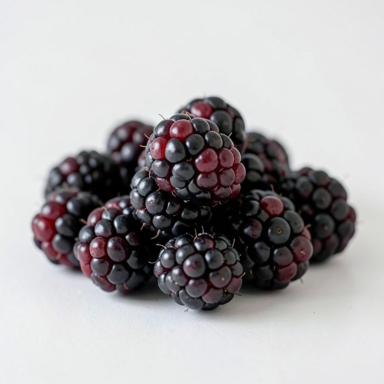 Ежевика, сырая