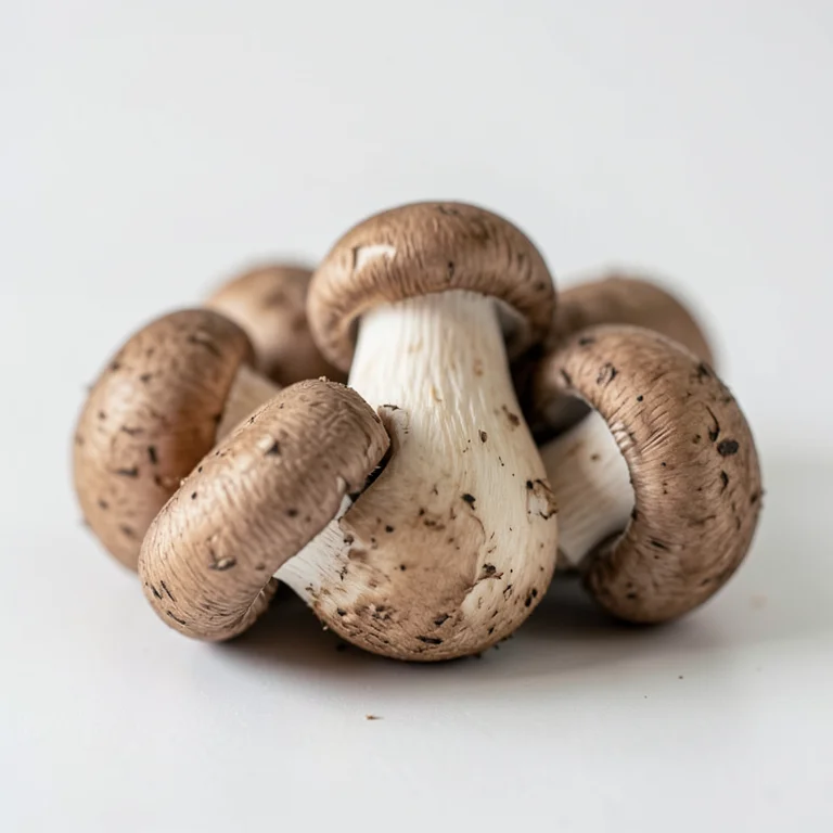 Шампиньоны кримини (коричневые)